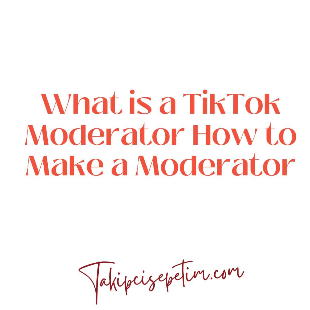 What is a TikTok Moderator